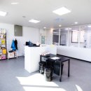 도그 애견미용실 이미지