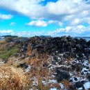 온평환해장성 이미지