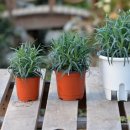 하일농장 이미지