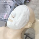 보떼마산