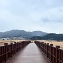 [순천만습지]전남 순천 뚜벅이 관광 추천, 겨울 국내 여행 후기
