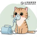 (주)백합사 이미지