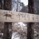 꿈꾸는유배지늡다리 이미지