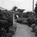 무릉2리(인향동) 이미지