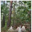 노곡면 여삼리 마을회관 | <선구산 그리고 절름쟁이산>낯선 오지같은 숲길을 찾아간다.