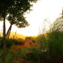 시냇가펜션 이미지