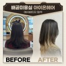 베이지 꽃 | 배곧미용실 아이온헤어배곧점 애쉬베이지 염색 후기