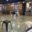 포포앤미루 강동점 이미지