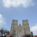 평화환경 | [라이온킹 콘서트] 30주년 OST 콘서트 후기! 경희대학교 평화의 전당 2층 D구역 시야 꿀팁!