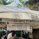 갈생 | 즉흥으로 떠난 대구 여행 (소품샵투어, 뭉티기 맛집, 라이온즈파크)