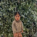 신라A | 32개월 딸과 함께한 제주여행 신라호텔 3박 후기(G.A.O 프로그램/파크뷰 후기)