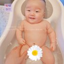 세탁119 이미지