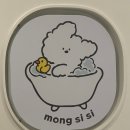 몽시시 이미지