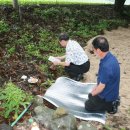 왕산3리 이미지