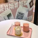 댕댕이 머리하는 날 이미지