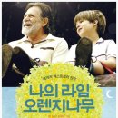 이벤트오렌지나무