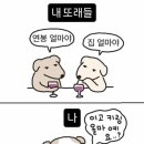 동시대미술읽기 Ⅱ | &lt;국립현대미술관 서울관&gt; 김창열 전시후기(무료관람기간) / 주차 / 근처 맛집&amp;카페 소개!