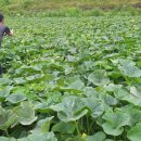 장안보건진료소 이미지