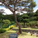 용인수목장