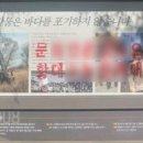 마을게시판 이미지