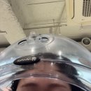 드림힐링해독클리닉 | 명동 두피클리닉 잘하는 이철헤어커커 명동1호점 헤어스파 15단계 힐링 후기