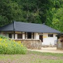 리틀포레스트 이미지