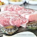 돼지의 족보 이미지