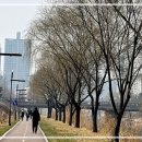 [공지] K2(케이투) 트레킹화 플라이하이크 크러쉬C5 걸을 때 발 편해요
