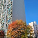 계산지압안마원 이미지