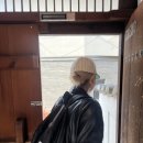 채하소격