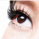 모다브로우 이미지