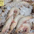 11월 25일, 자연산암대하, 생새우, 죽상어,먹갈치,참조기,파조기,갑오징어,한치,병어,자랭이,통치,장어,아귀,잡어,냉동생선,마른생선, 이미지