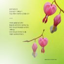 가나안 ITS