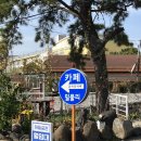 중문동-3 | 제주 서귀포 디저트 카페 추천｜밀물리