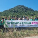 신안새마을경로당 네이버블로그