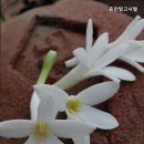 휴먼빌고시원 - 광진구 천호대로 659 | 휴먼빌고시원