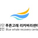 리커버리센타