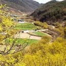 어느봄날 - 수성구 화랑로2길 105 | 어느봄날
