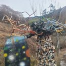 달빛동화마을 이미지