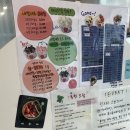 요아정제주 네이버블로그