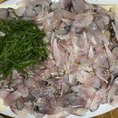 자갈치도매시장산꼼장어대게 이미지