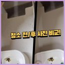 서초 크린 세탁 | 서울사무실청소 서울 오렌지크린, 15년 노하우로 신뢰 받는 청소 서비스