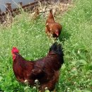 현주슈퍼 이미지