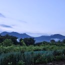 가조농장 이미지