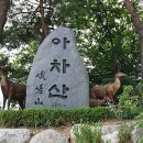 청계천카랜드 이미지