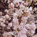 파주노인방문요양센터 이미지