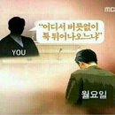 정들다 이미지