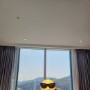 봉산민박 | 2박3일 부모님과 여수 여행 (오동도 동백꽃, 향일암, 금오도)