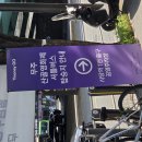 당신은 영화를 본 적이 없다:처음 만나는 영화 인문학 | 제철 영화제 - 무주산골영화제 방문기