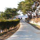와와펜션